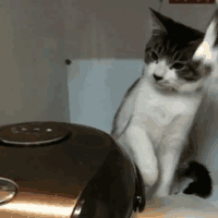 Acid Gifdump (25 gifs)
