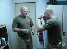Acid Gifdump (25 gifs)