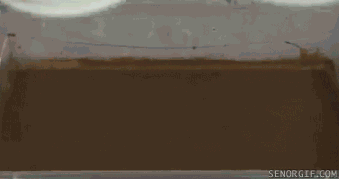 Acid Gifdump (25 gifs)