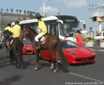 Acid Gifdump (25 gifs)
