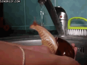 Acid Gifdump (25 gifs)
