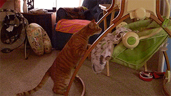 Acid Gifdump (25 gifs)