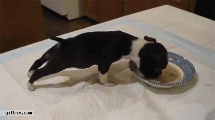 Acid Gifdump (25 gifs)