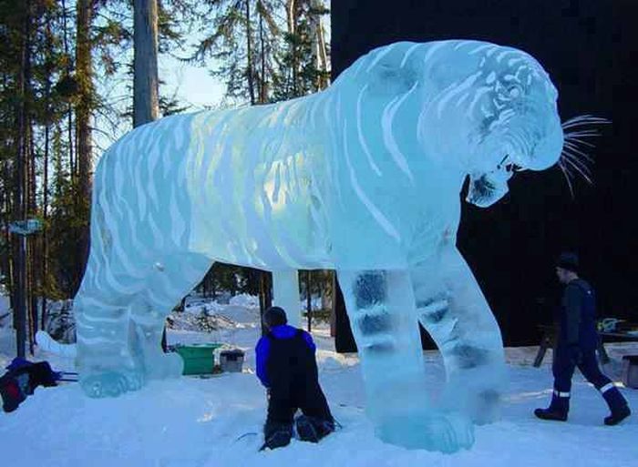 Acid Picdump (109 pics)