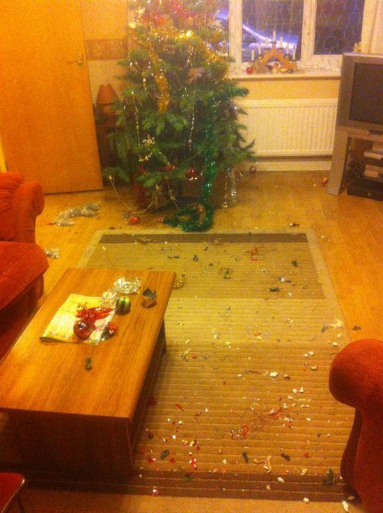 Acid Picdump (109 pics)