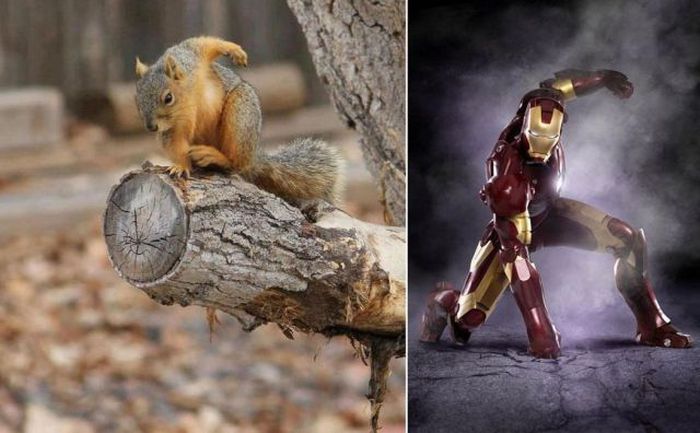 Acid Picdump (109 pics)