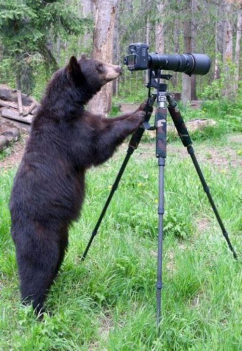 Acid Picdump (109 pics)