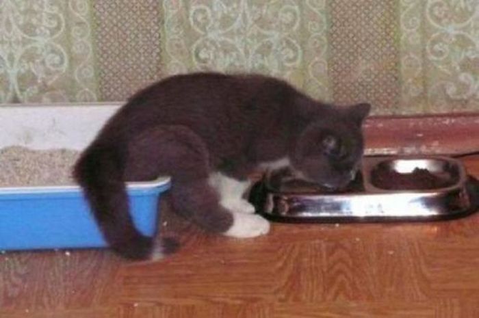 Acid Picdump (109 pics)