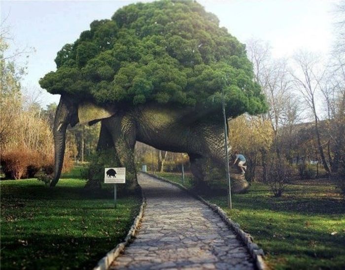 Acid Picdump (109 pics)