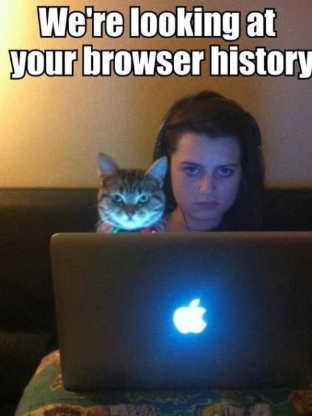 Acid Picdump (109 pics)