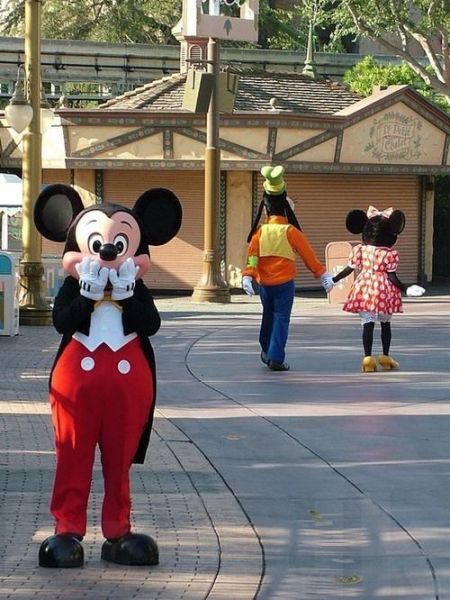 Acid Picdump (109 pics)