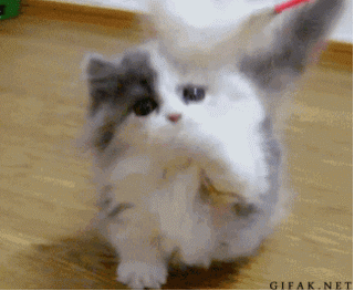 Acid Gifdump (25 gifs)