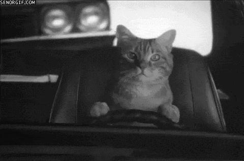 Acid Gifdump (25 gifs)