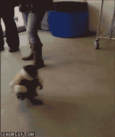 Acid Gifdump (25 gifs)