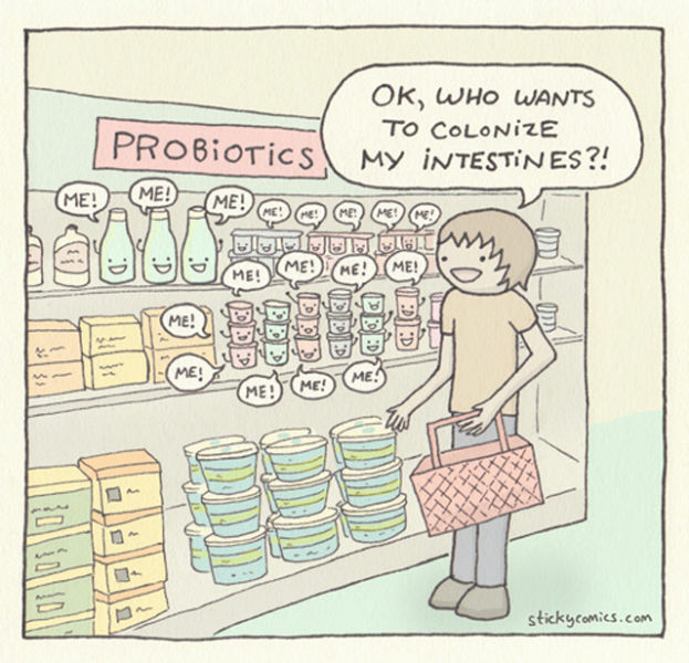 The Best Comics of the Year (64 pics)