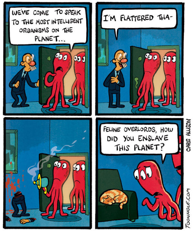The Best Comics of the Year (64 pics)