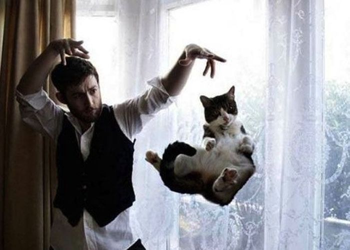 Perfectly Timed Cat Photos (25 pics)