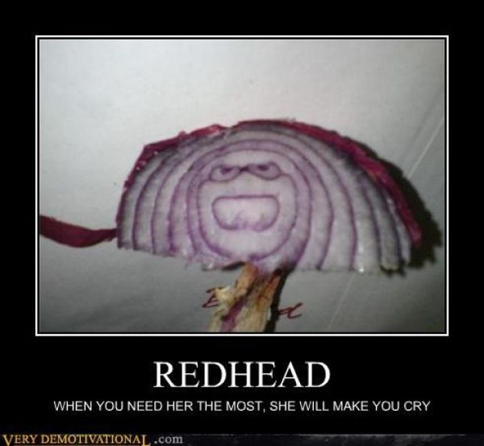 Funny Demotivational Posters (33 pics)