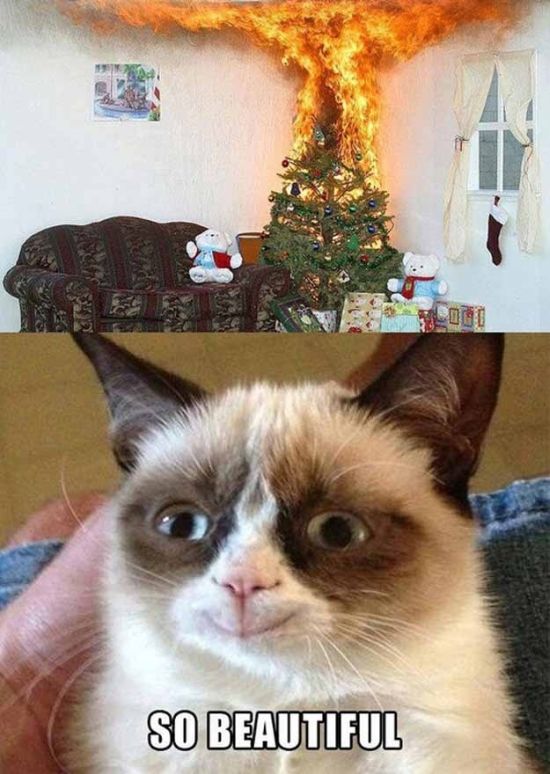 Grumpy Cat Christmas (12 pics)