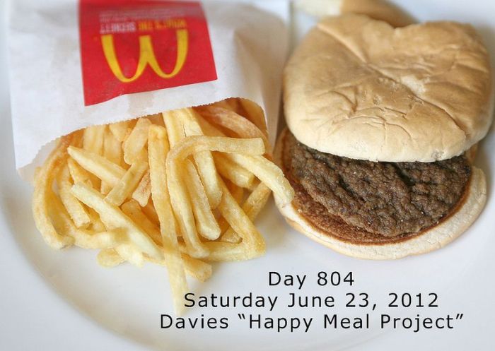 Happy Meal Project. Part 2 (21 pics)