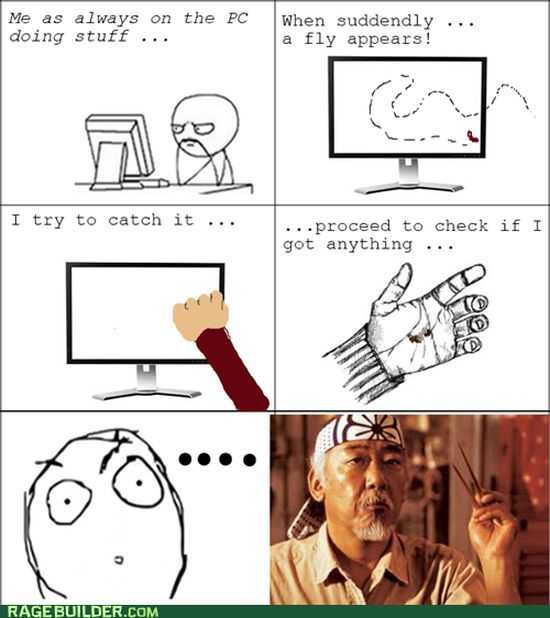 Rage Comics (70 pics)