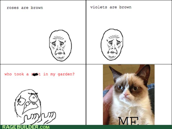 Rage Comics (70 pics)