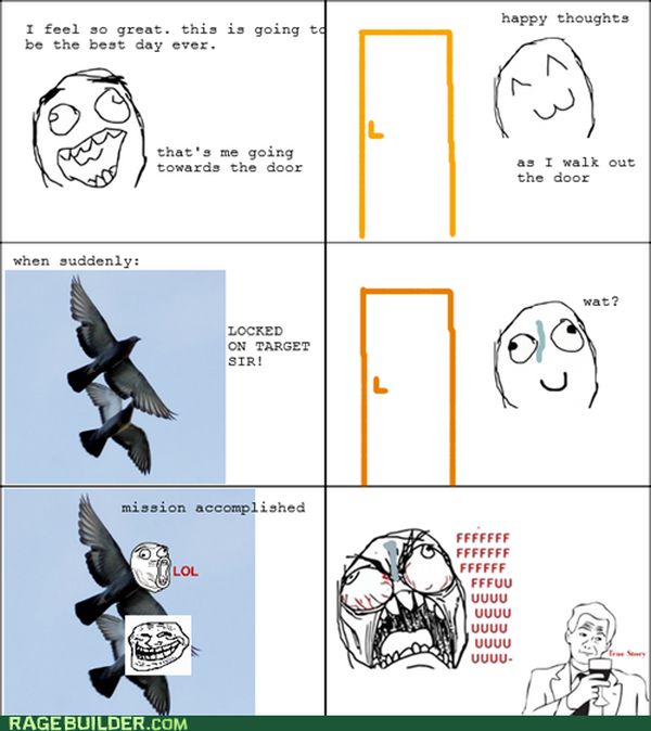 Rage Comics (70 pics)