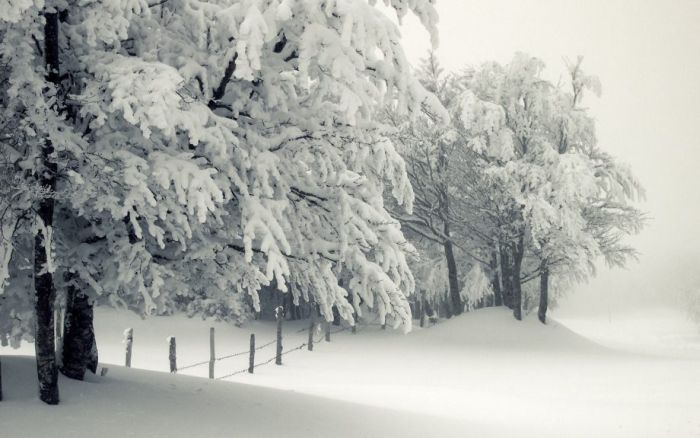 Beautiful Winter Pictures (34 pics)