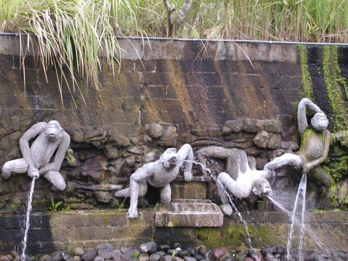 Acid Picdump (83 pics)
