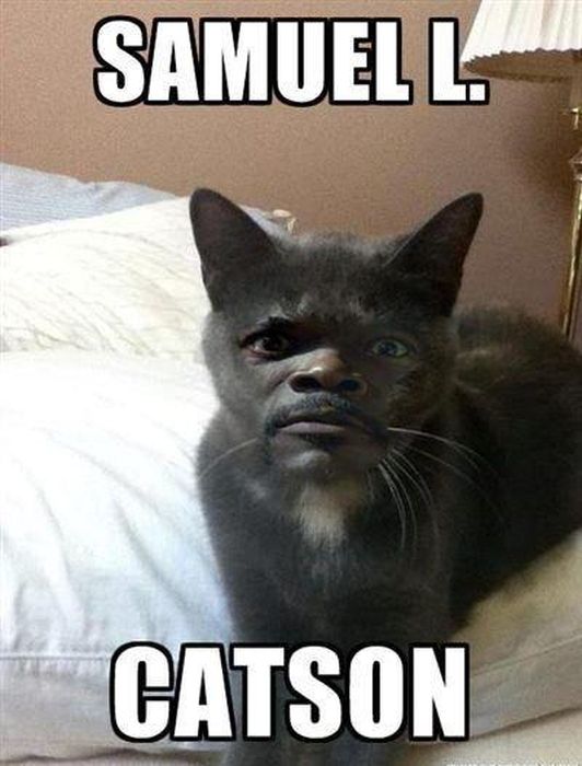 Acid Picdump (83 pics)