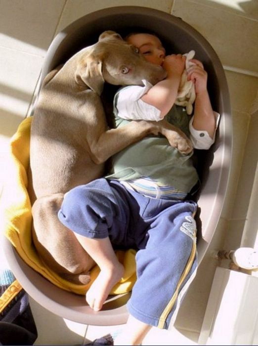 Acid Picdump (83 pics)