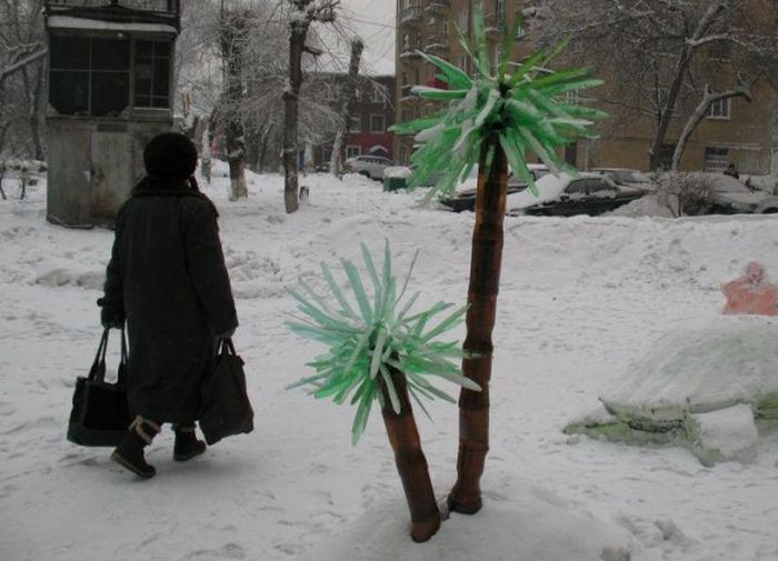 Acid Picdump (83 pics)