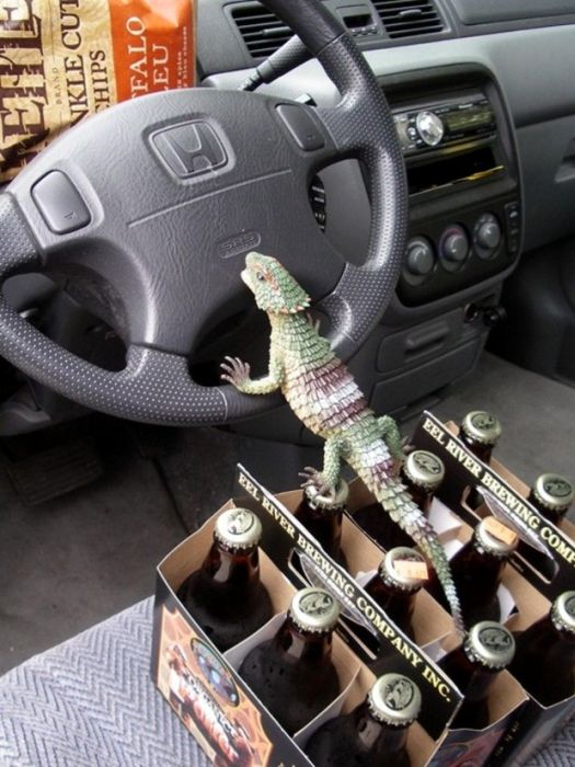 Acid Picdump (83 pics)