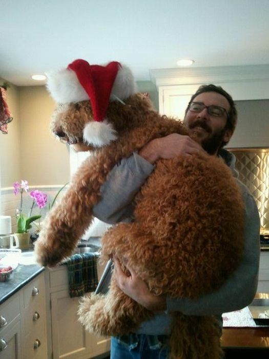 Acid Picdump (83 pics)