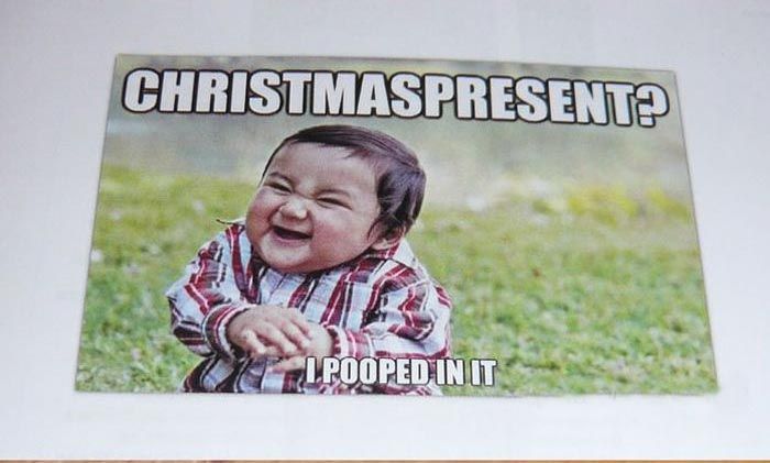 Christmas Present for a Brother (17 pics)