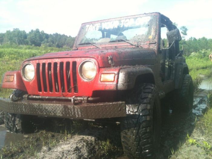 Off Road Photography (62 pics)