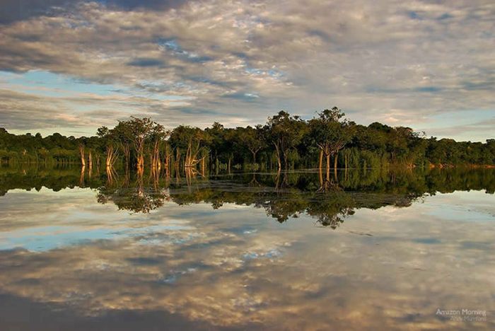 The Beauty of Amazon Forest (46 pics)