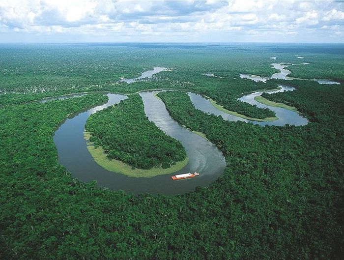 The Beauty of Amazon Forest (46 pics)