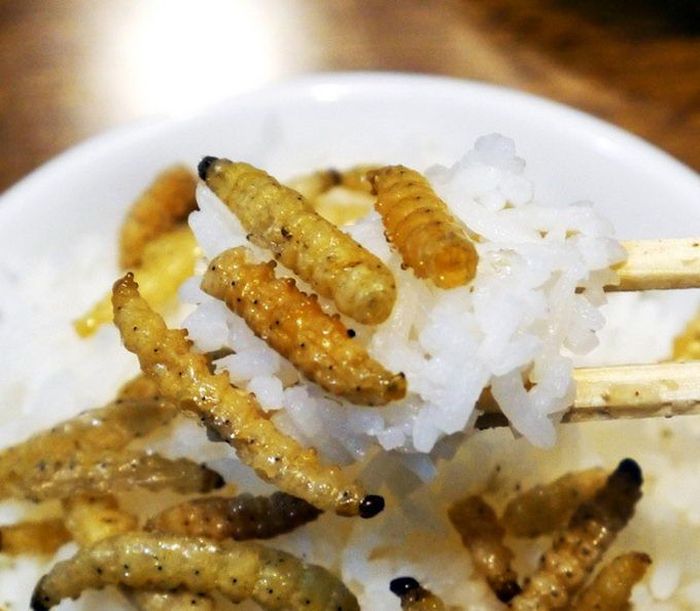Disgusting Chinese Food (7 pics)