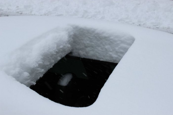 Always Keep Your Car's Sunroof Closed in Winter (3 pics)
