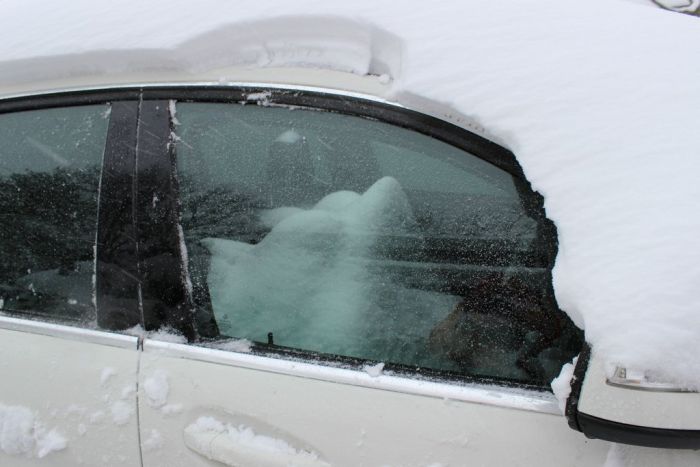 Always Keep Your Car's Sunroof Closed in Winter (3 pics)