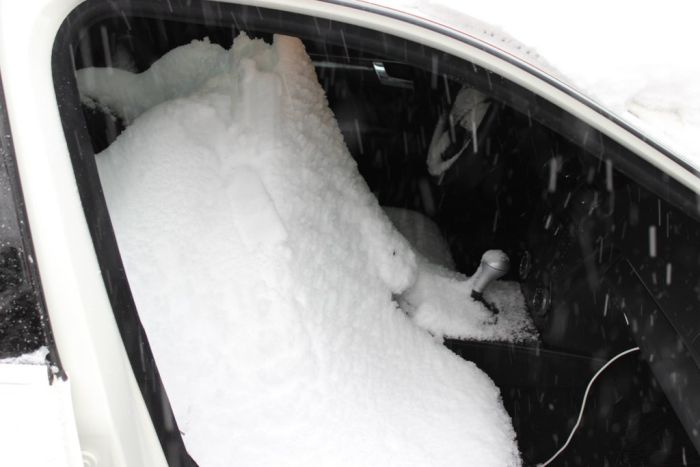 Always Keep Your Car's Sunroof Closed in Winter (3 pics)