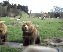 Acid Gifdump (25 gifs)