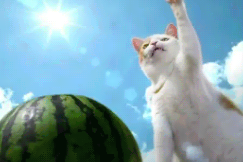 Acid Gifdump (25 gifs)