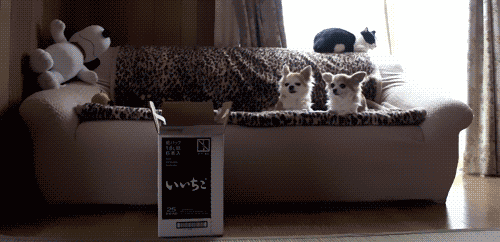 Acid Gifdump (25 gifs)