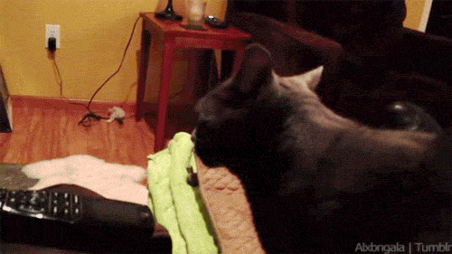 Acid Gifdump (25 gifs)