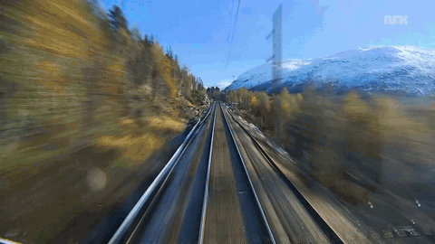 Acid Gifdump (25 gifs)