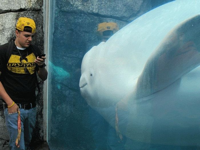 Signs Your Childhood Is Over (28 pics)