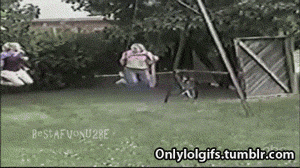 Signs Your Childhood Is Over (28 pics)