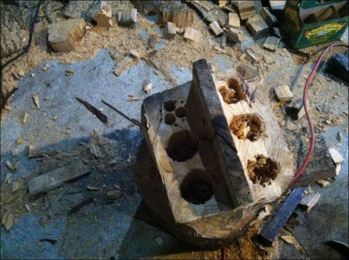 DIY Wooden Six Pack Carrier (20 pics)